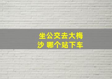 坐公交去大梅沙 哪个站下车